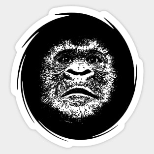 Face Of A Great Ape Scratchboard Art Illustration Sticker